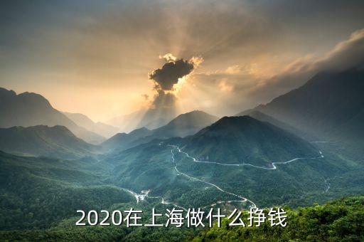 2020在上海做什么掙錢