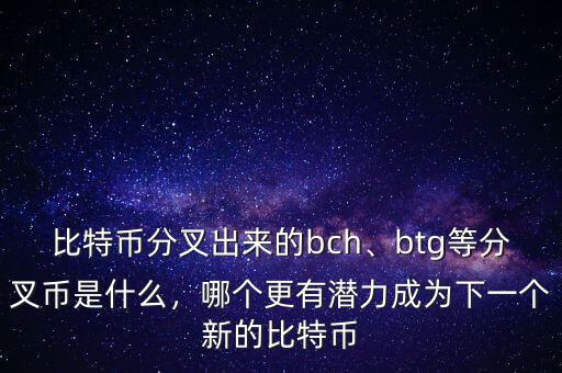 比特幣分叉出來的bch、btg等分叉幣是什么，哪個(gè)更有潛力成為下一個(gè)新的比特幣