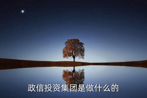 中國政信是個(gè)什么東西,政信金融是什么意思