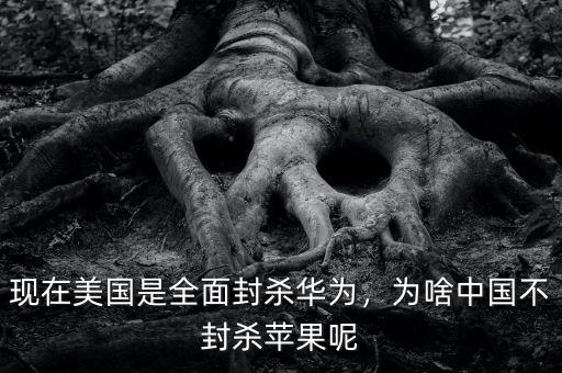 現(xiàn)在美國是全面封殺華為，為啥中國不封殺蘋果呢