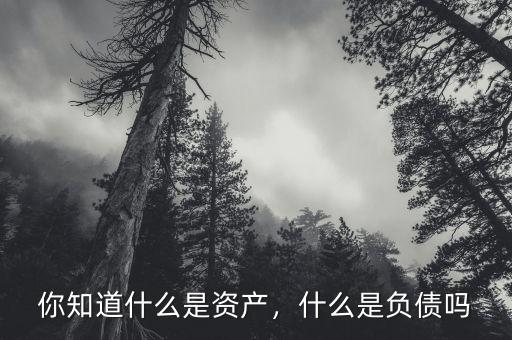 你知道什么是資產(chǎn)，什么是負(fù)債嗎