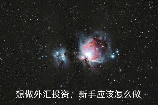 想做外匯投資，新手應(yīng)該怎么做