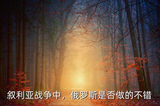 俄羅斯對(duì)敘利亞做了什么,俄羅斯也對(duì)敘利亞非常重視