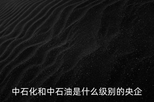 中石化處長什么級別,中福集團(tuán)是什么級別