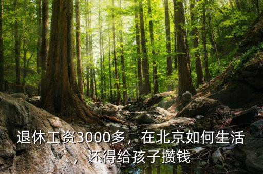 退休工資3000多，在北京如何生活，還得給孩子攢錢