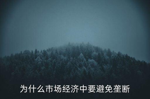 為什么壟斷不會(huì)使價(jià)格上漲,為什么需求增加價(jià)格上漲