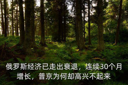 俄羅斯經濟已走出衰退，連續(xù)30個月增長，普京為何卻高興不起來