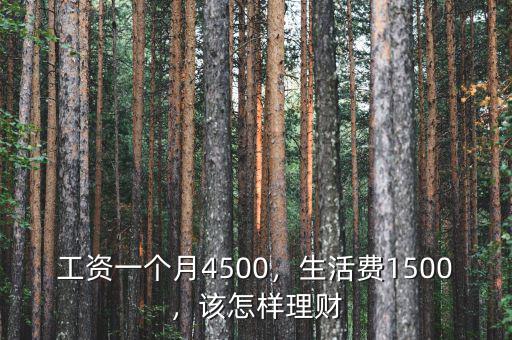 工資一個月4500，生活費1500，該怎樣理財