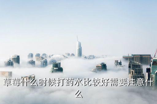 草莓什么時候打藥水比較好需要注意什么