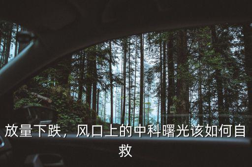 放量下跌，風(fēng)口上的中科曙光該如何自救