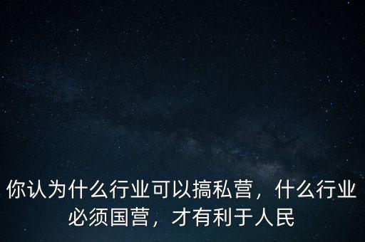 你認為什么行業(yè)可以搞私營，什么行業(yè)必須國營，才有利于人民