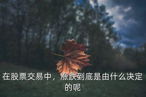 股價由什么決定,股票的價格是由什么來決定的