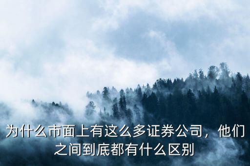 為什么會有兩個證券b,為什么公司合并股票還是兩個