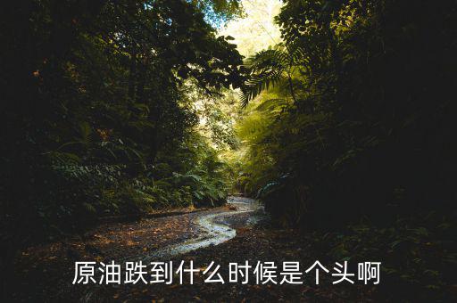 原油跌到什么時候是個頭啊