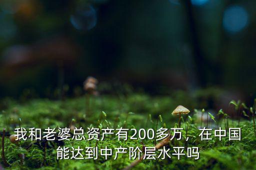 我和老婆總資產有200多萬，在中國能達到中產階層水平嗎