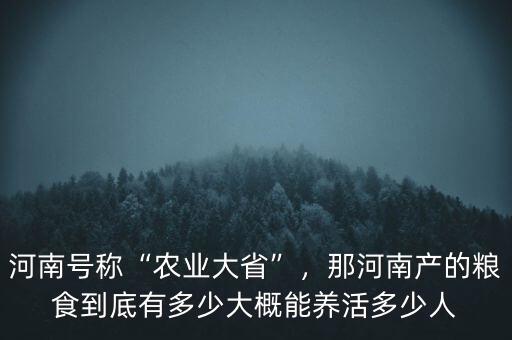 河南號(hào)稱“農(nóng)業(yè)大省”，那河南產(chǎn)的糧食到底有多少大概能養(yǎng)活多少人