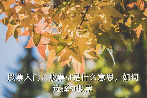 股票入門：股票st是什么意思，如何選擇st股票