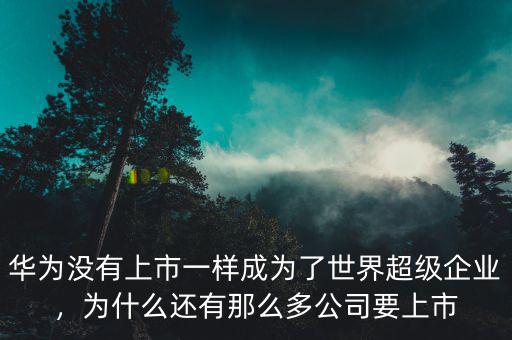 華為沒有上市一樣成為了世界超級企業(yè)，為什么還有那么多公司要上市