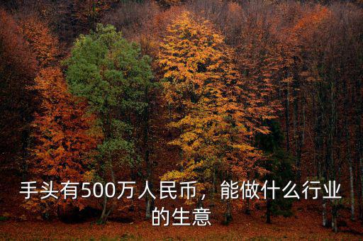 手頭有500萬(wàn)人民幣，能做什么行業(yè)的生意