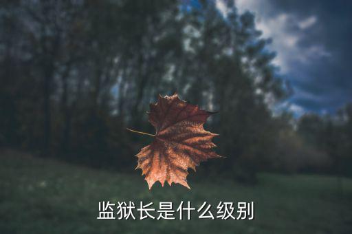 監(jiān)獄長(zhǎng)是什么級(jí)別