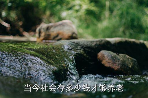 當(dāng)今社會(huì)存多少錢才夠養(yǎng)老