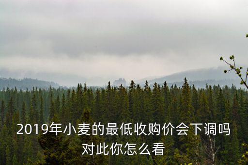 2019年小麥的最低收購(gòu)價(jià)會(huì)下調(diào)嗎對(duì)此你怎么看