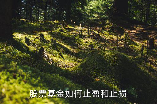 股票怎么確定止贏止損價格,股票基金如何止盈和止損