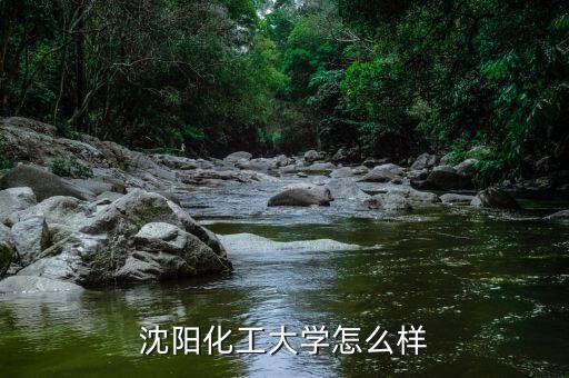 沈陽(yáng)藍(lán)晶科技怎么樣,請(qǐng)問(wèn)一下沈陽(yáng)科技學(xué)院怎么樣