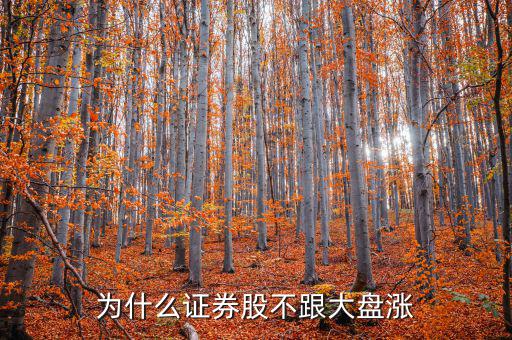 操盤(pán)手為什么跟大盤(pán)走,為什么證券股不跟大盤(pán)漲