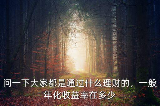 問(wèn)一下大家都是通過(guò)什么理財(cái)?shù)?，一般年化收益率在多? class=