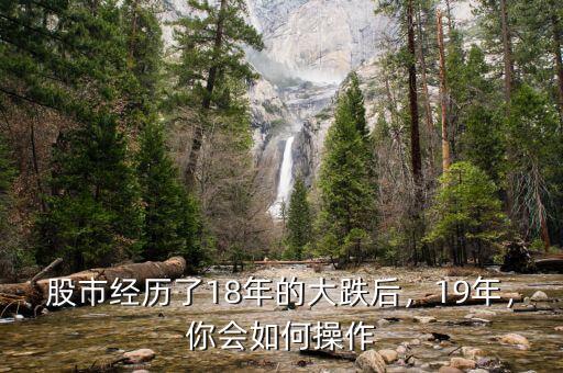 股市經歷了18年的大跌后，19年，你會如何操作