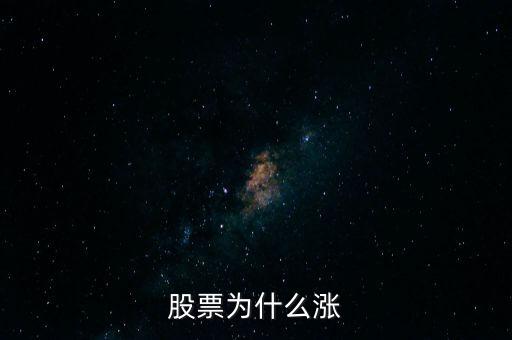 股票為什么漲