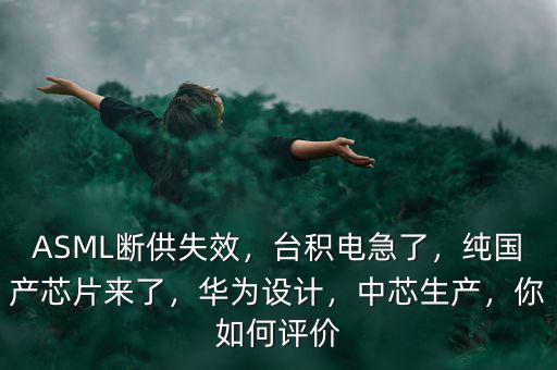 ASML斷供失效，臺(tái)積電急了，純國產(chǎn)芯片來了，華為設(shè)計(jì)，中芯生產(chǎn)，你如何評(píng)價(jià)