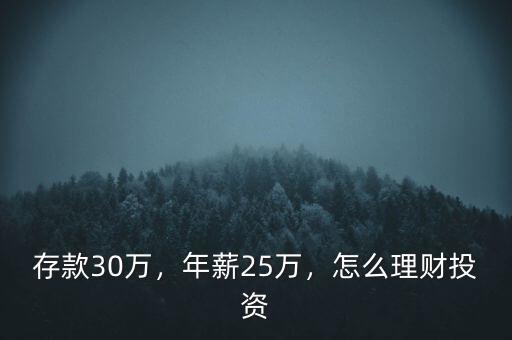 存款30萬，年薪25萬，怎么理財投資