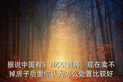 據(jù)說中國(guó)有5.3億空置房，現(xiàn)在賣不掉房子后面你認(rèn)為怎么處置比較好