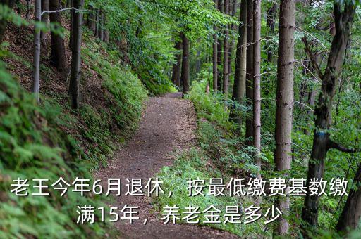 15年繳費(fèi)多少養(yǎng)老金,按最低繳費(fèi)基數(shù)繳滿15年