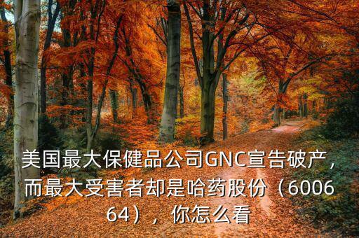 美國最大保健品公司GNC宣告破產(chǎn)，而最大受害者卻是哈藥股份（600664），你怎么看