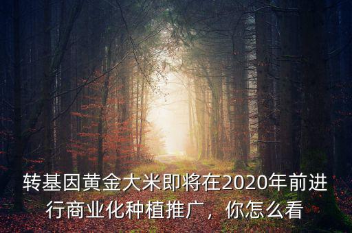 轉(zhuǎn)基因黃金大米即將在2020年前進行商業(yè)化種植推廣，你怎么看