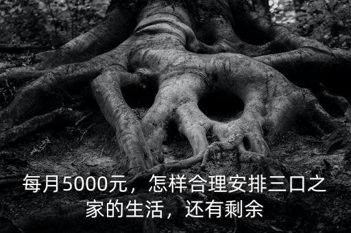 每月5000元，怎樣合理安排三口之家的生活，還有剩余