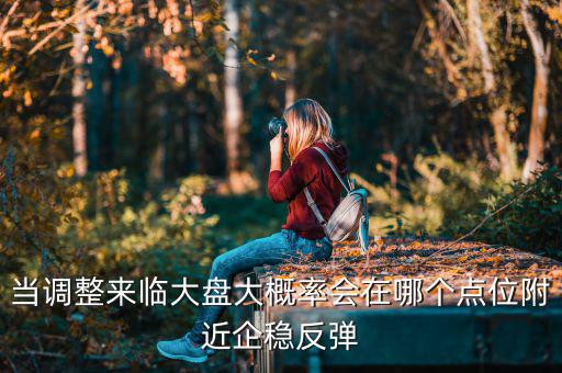 當(dāng)調(diào)整來(lái)臨大盤(pán)大概率會(huì)在哪個(gè)點(diǎn)位附近企穩(wěn)反彈