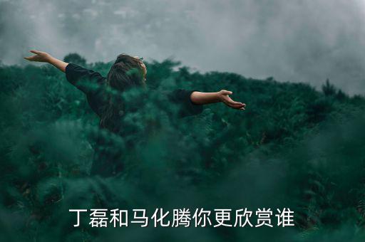 丁磊和馬化騰你更欣賞誰(shuí)