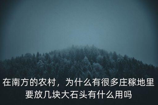 在南方的農(nóng)村，為什么有很多莊稼地里要放幾塊大石頭有什么用嗎