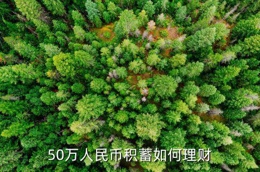 50萬元怎么理財(cái),50萬怎么理財(cái)