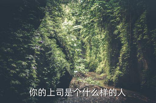 你的上司是個什么樣的人