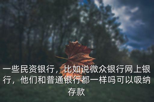 一些民資銀行，比如說微眾銀行網(wǎng)上銀行，他們和普通銀行都一樣嗎可以吸納存款