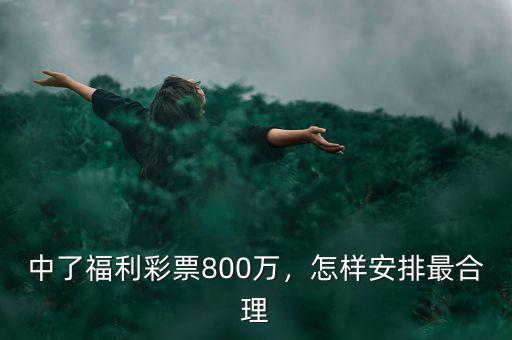 中了福利彩票800萬，怎樣安排最合理