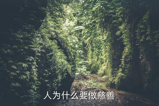 怎么做慈善,經(jīng)濟(jì)困難怎么做慈善