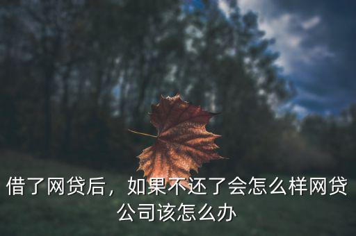 借了網(wǎng)貸后，如果不還了會怎么樣網(wǎng)貸公司該怎么辦