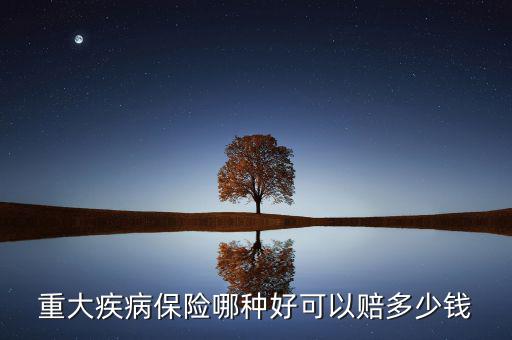 重大疾病保險(xiǎn)哪種好可以賠多少錢