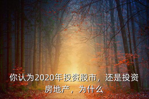 為什么要投資股市,你認(rèn)為2020年投資股市